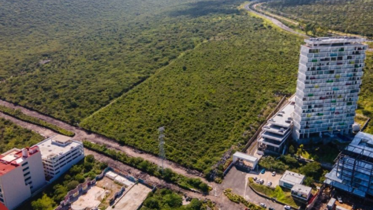 Terrenos Residenciales en PuntOlivo